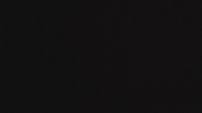 Vivimagicmeow live