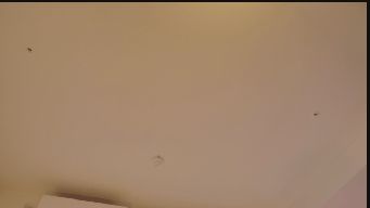 japanesequeen - Hi! I am SAKURA, JapaneseGoddess♥Vids & More menu on MFCShare! - Vibe On ⁺22 - Flash/111 - TRUPVT PRE TIP500