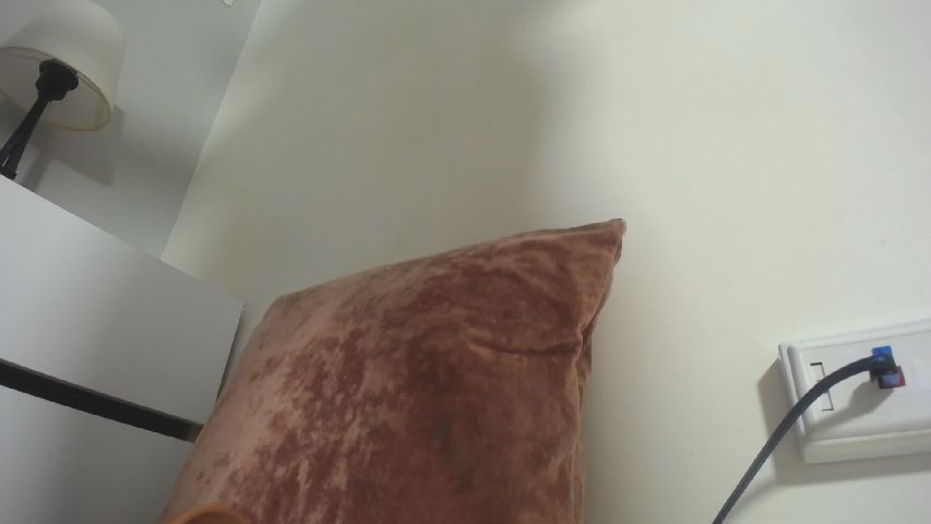 Live Stream of Beauti_wild