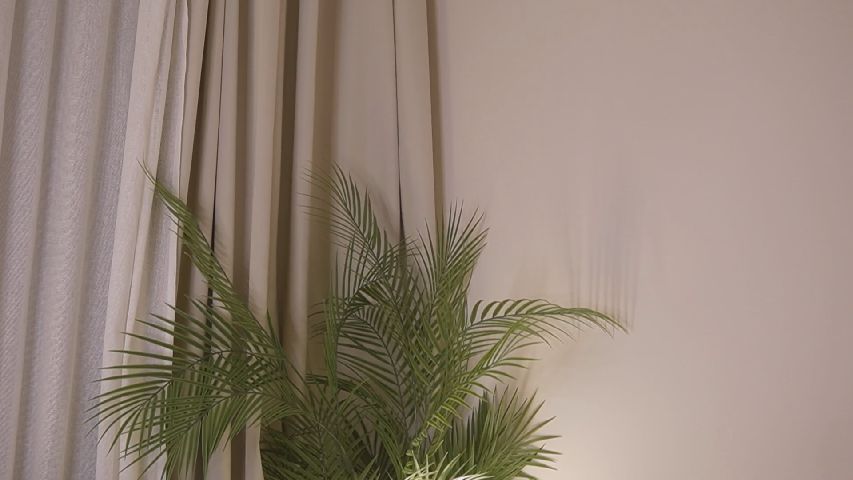 JessicaJojo online image