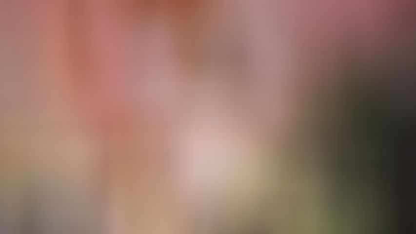 Live Stream of ArielSoft