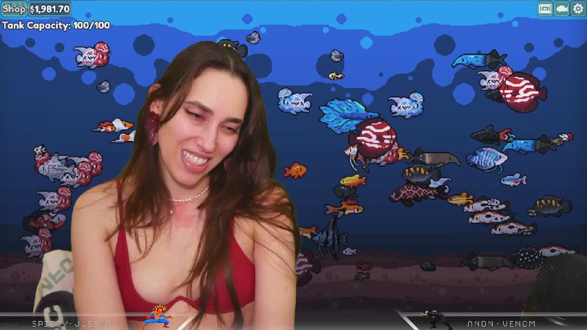 Live Stream of Dashy