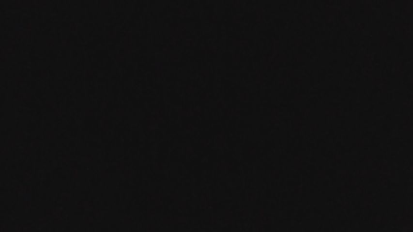 Vivimagicmeow online image