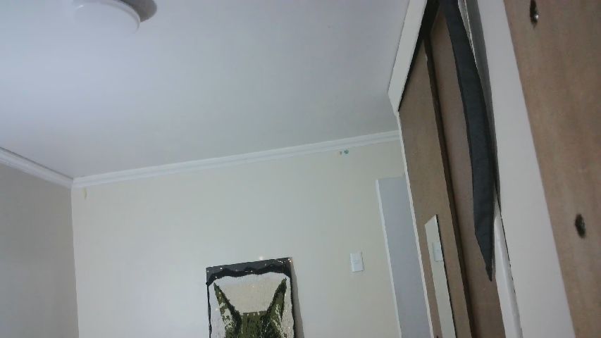 PameHeaven's MyFreeCams show and profile