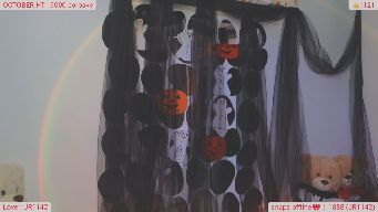 DinasLibrary - toy on/ 729 strip tease/+cum club/888 &1888 october clubs/ 234wall decoration/ 30-3spanks/50flash/105bj/125domi/555snap/5555all vids/ 12345 hero+more