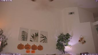 Skitty - Free the nip club next: 200 to join | ICE GODDESS XXX SHOW TOMORROW: 5000 | New Clubs & Upcoming Shows on Profile/Share! | Pumpkin! 1000