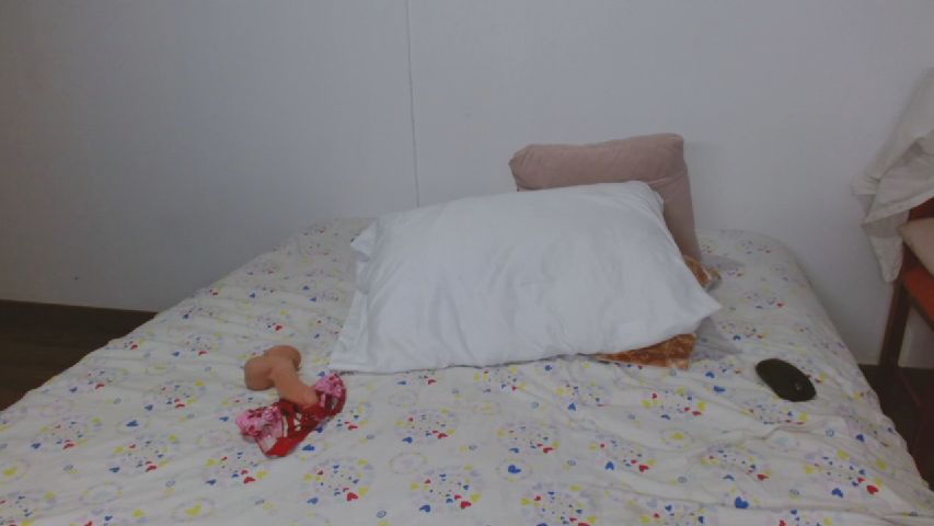 Arianna_ros3 online image