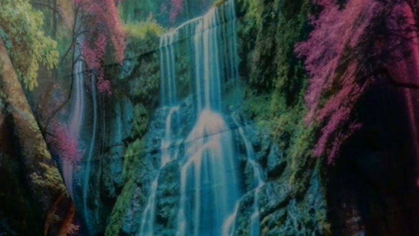 Live Stream of Candismiths