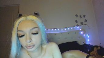 MiniFox