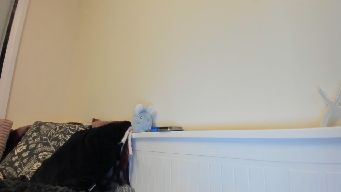 ava_james - hi! 25tk till sexy view! pvt on! pantie vibe ON! Cumshow @ top 120! | Song 25 | Spin 99 | PM 220 | Flash 100 | C2C 100 | HT