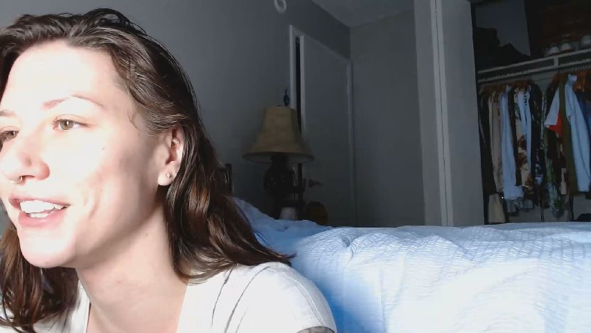 Live Stream of tigershark