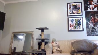 Babysprite - 1898 until hitachi cum show! | 11 tokens - 2 spanks/ 31 tokens - titty flash/ 61 tokens - hole spread from behind | 30$ lifetime snap sale