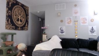 milehighminx - Boobs & Bj in 888|15-Spanx|22-Twerk|33-Drool|44-Toke|77-Boobs/Booty|99-Wheel|111-C2C|222-3min vibe|555-Bj/DT|888-Instant O|1111-Control Me
