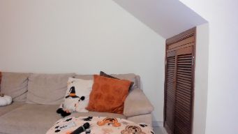 GoddessVenus_ - Happy Monday l DOMI ON l PVT Open l Dont Stop 15 l Spank Ass 69 l Twerk 77 l New Outfit 130 l Make me smile 208 l Control Toy 5min 240 l Cumshow with dildo 575