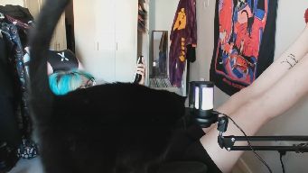DruidNova - Roll for initiative! Coffee, chatting, and chilling