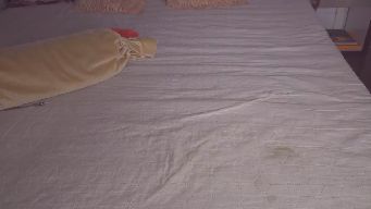 LaSeductrice - 3517 until squirt , 96 control lush , 88 plug me , 69 try luck , 61 spin wheel , 44 nipple pinch , 39 if you like me