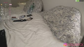 AlecsaFox - 399 goal cum show, fav vibes 101/222/501, c2c 110tk (dildo or squirt in pvt for extra +1000tk), check white board, teams 1500tk 10min