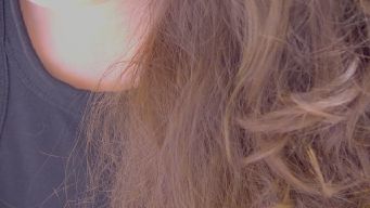 Squirrel_MFC